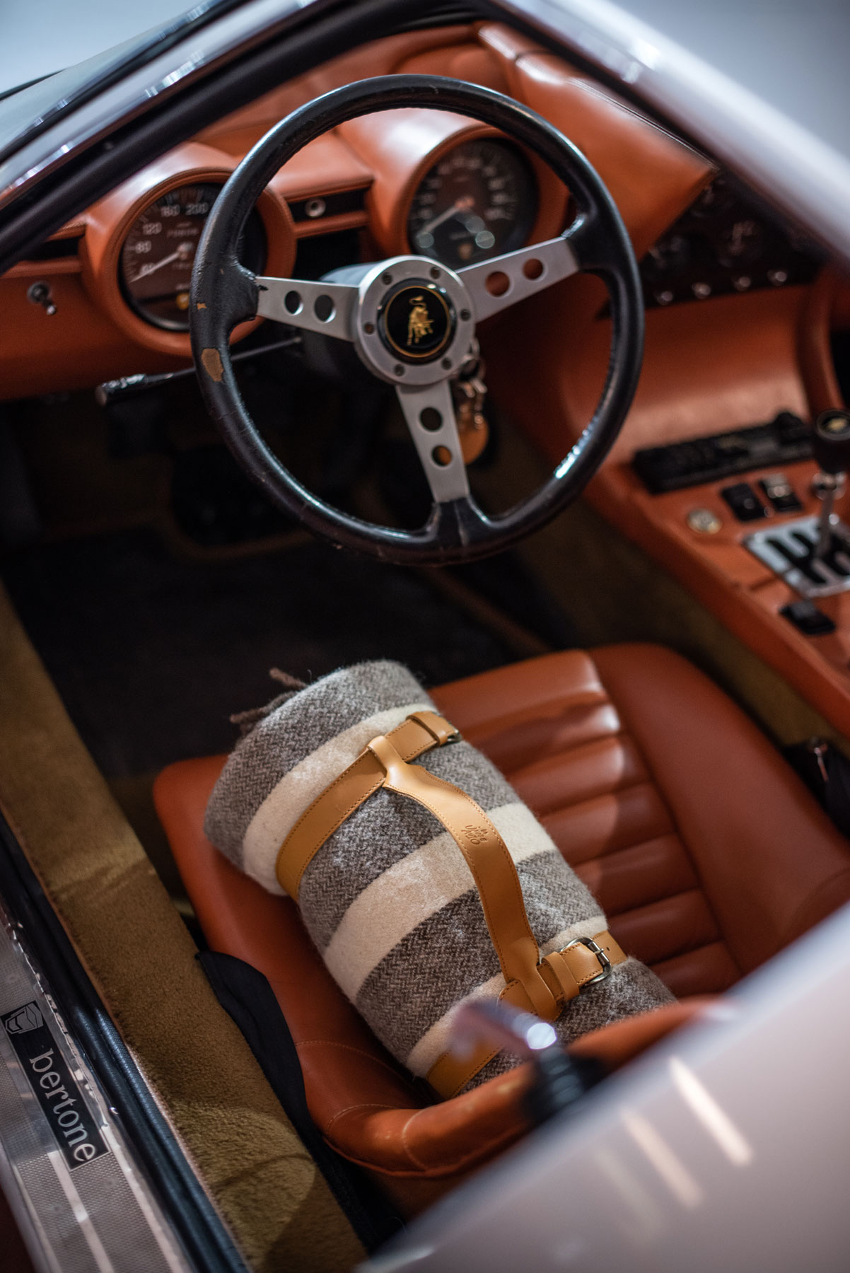 Plaid Pedro – Image 2