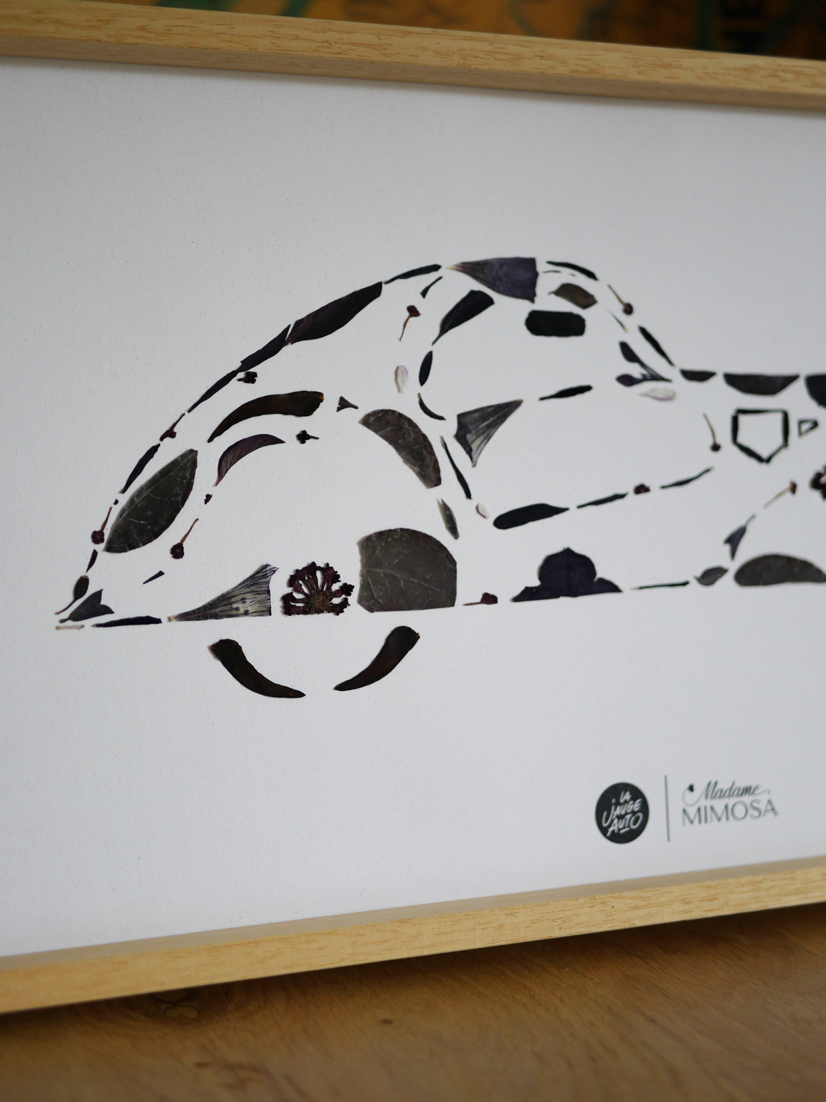 Herbier "La voiture noire" – Image 2