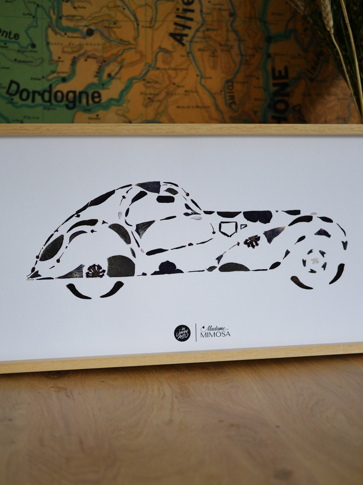 Herbier "La voiture noire" – Image 6