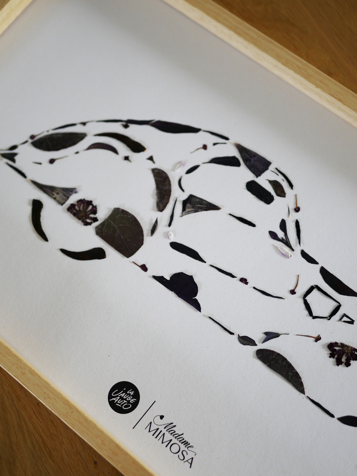 Herbier "La voiture noire" – Image 5