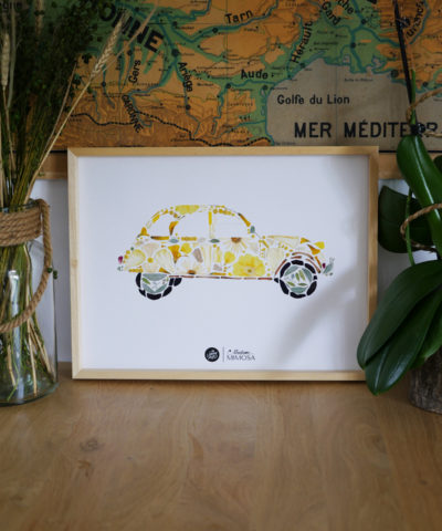 Herbier "La deudeuche"