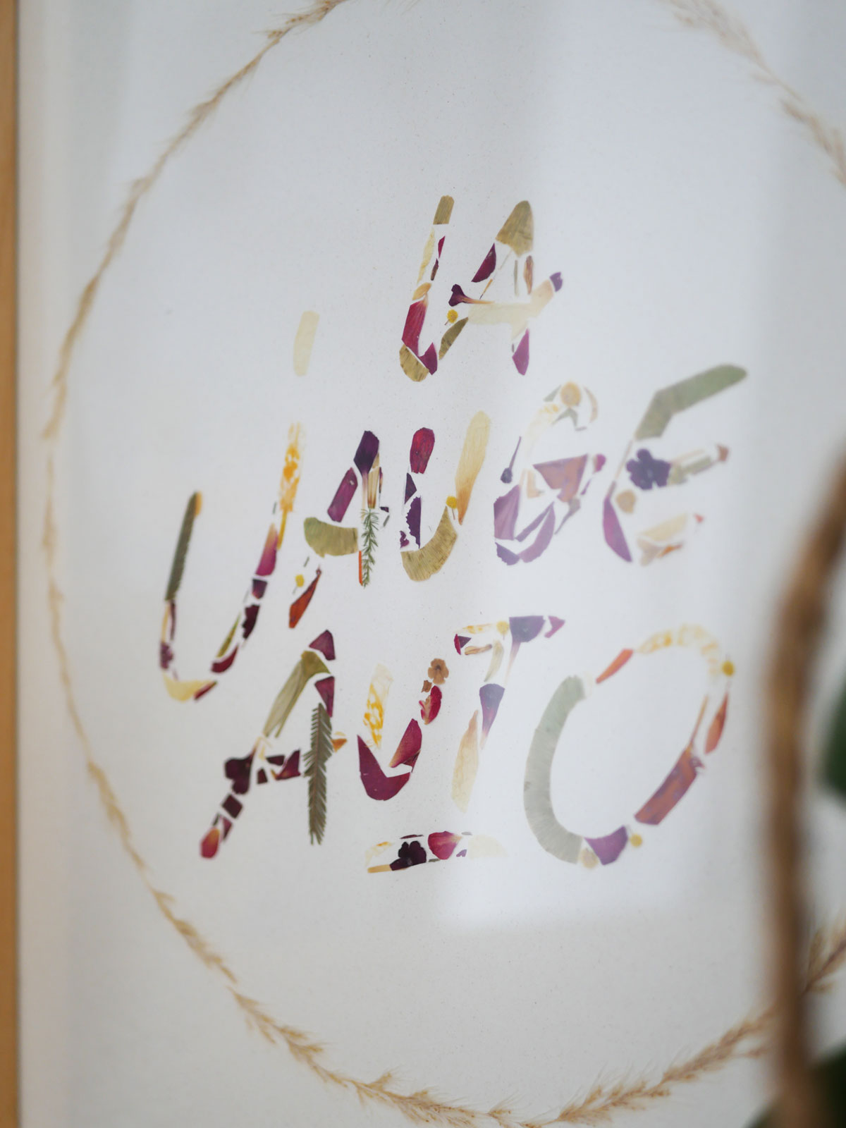 Herbier automobile sur-mesure – Image 2